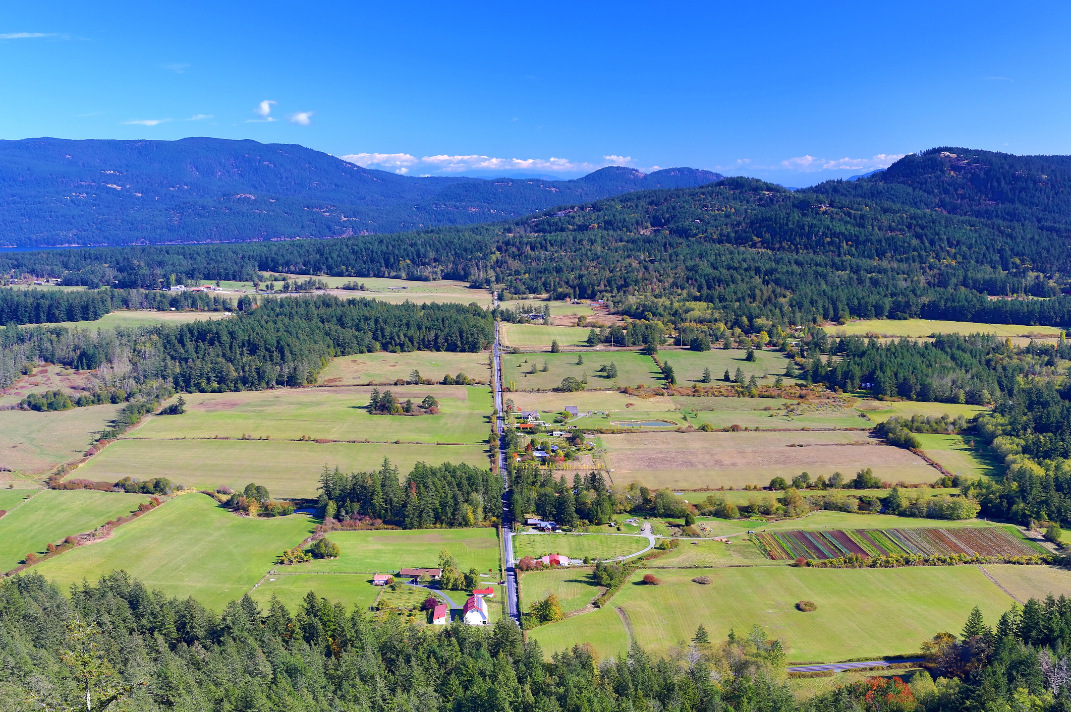 An aerial shot showing San Juan Islands farmland.