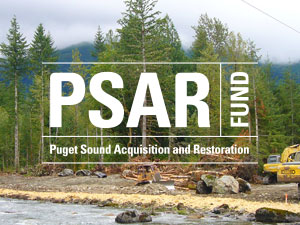 Logo for the Puget Sound Acquisition and Restoration Fund overlaid on a photo of a river undergoing restoration.