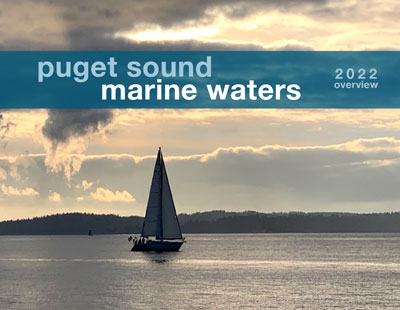 Cover image from the 2021 Puget Sound Marine Waters Overview, showing Puget Sound water with the silhouette of a plane flying overhead